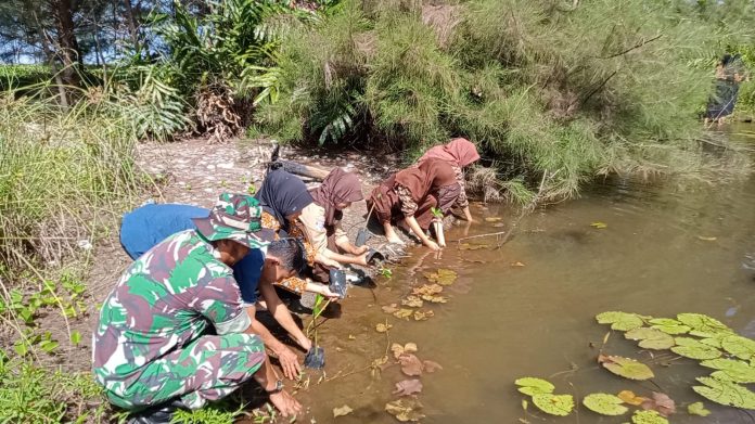 Personil TNI Koramil SAM melakukan penanaman Mangrove di Pantai Tedunan